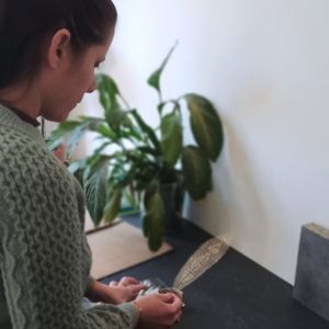 les feuilles d'amandine